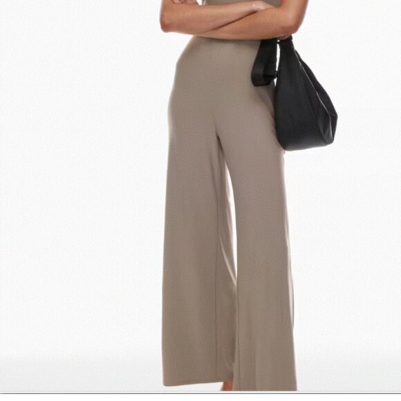 Aritzia Pants & Jumpsuits Babaton Distinction Jumpsuit In Modern